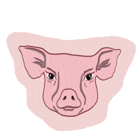 Go Vegan I Want To Live Sticker by _AnimalSaveMovement_