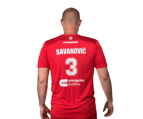rdslovan giphyupload slovenija slovan rokomet Sticker