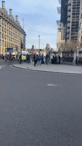'Elderly Lady' Detained During Anti-Lockdown Protest in London