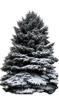 Feliz Navidad Snow Sticker