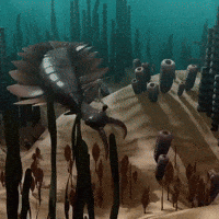 GIF by PBS Digital Studios