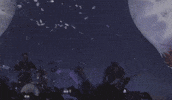 on letting go tour GIF by Circa Survive
