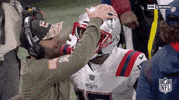 New England Patriots Football GIF by NFL