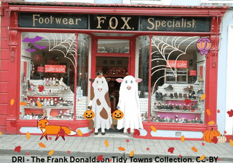 bknazook giphygifmaker giphyattribution halloween digital repository of ireland GIF