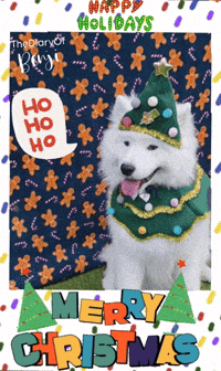 Feliz Navidad Christmas GIF