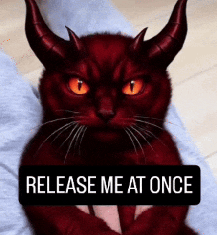 Mei Mei Cat GIF
