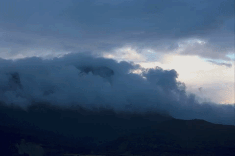 oroel GIF