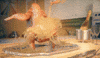 Thanksgiving Turkey GIF