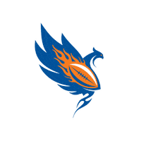 Womens Football Atlanta Sticker by Women's National Football Conference