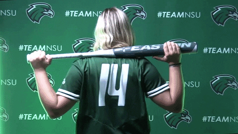 Softball GIF by RiverHawk Sports