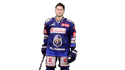 Hockey Hokej Sticker by Rytíři Kladno