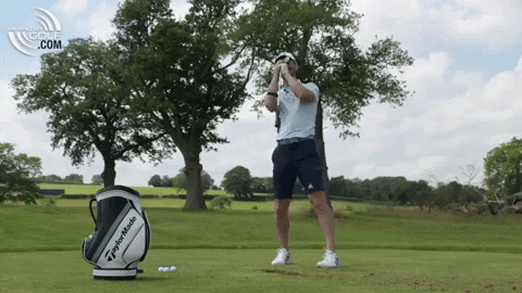 React Reaction GIF by Me and My Golf