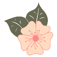 letterplezier pink flower color leaf Sticker