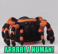 Halloween Spider GIF by TeaCosyFolk