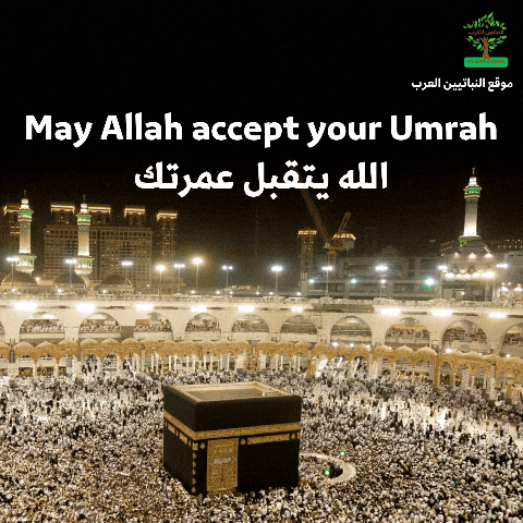 VeganArabs faith islam pray hajj GIF