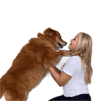 Dogs Love Sticker by Juanma Salazar