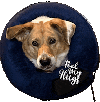 Dog Love Sticker by Dame Talent