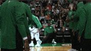 high five boston celtics GIF by NBA