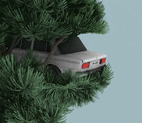 GIF by Sasha Katz