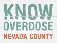 Nevada Opioid GIF by The Speedy Foundation