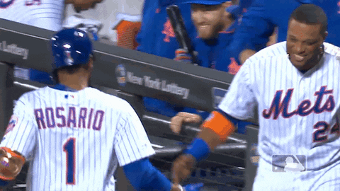 ny mets smile GIF by New York Mets