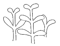 Loop Grow Sticker
