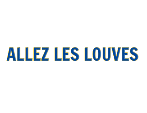 SaintAmandHandball giphyupload lameute sahph saintamandhandball Sticker