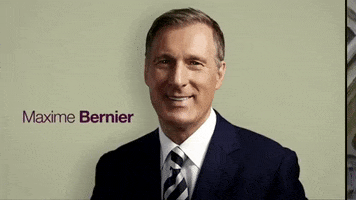 canada canada election 2019 maxime bernier canada federal elections 2019 GIF