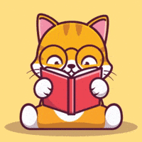 Cat What GIF by CATECOIN