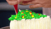 decorate buddy valastro GIF by Rachael Ray Show