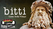 Leonardo Da Vinci Hay Amk GIF