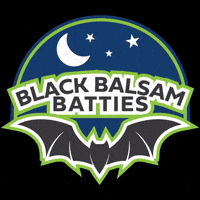 blueridgerollerderby derby roller derby brrd batties GIF