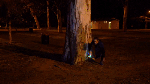 capture the flag redux GIF