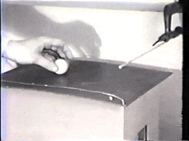 pigeon pomba ping-pong GIF