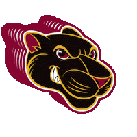 southsidevacc pantherpride svcc southsidevacommunitycollege southsidevirginiacommunitycollege Sticker