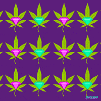 Animation Domination Lol GIF by gifnews