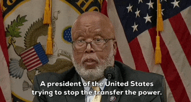 January 6 GIF by GIPHY News