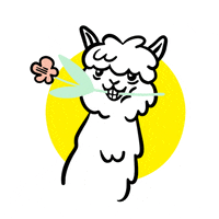 Lama Love GIF by Yello Strom