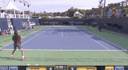 GIF by Tennis Channel