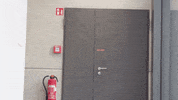 Fail Slow Motion GIF by TeamOrangeGaming