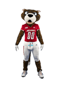 Happy Football Sticker by University of South Alabama