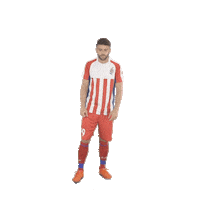Isl Sticker by Indian Super League