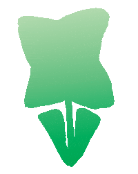 Flower Write On Sticker