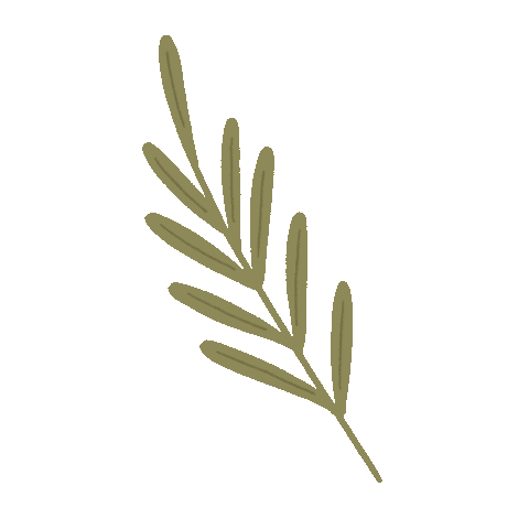 laurasupnik giphyupload plant foliage sprig Sticker