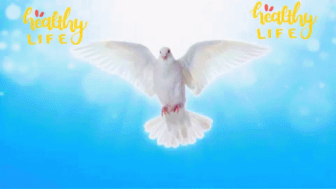 DonTaylor10000 giphygifmaker giphyattribution spirit GIF