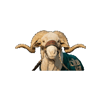 Cam The Ram Sticker by Colorado State University Online