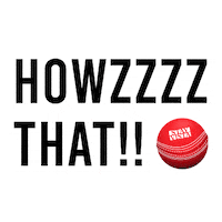Cricket Match Sticker by StayVista