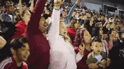torostijuana baseball tijuana toros de tijuana GIF