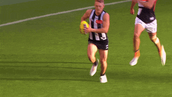 football win GIF by CollingwoodFC