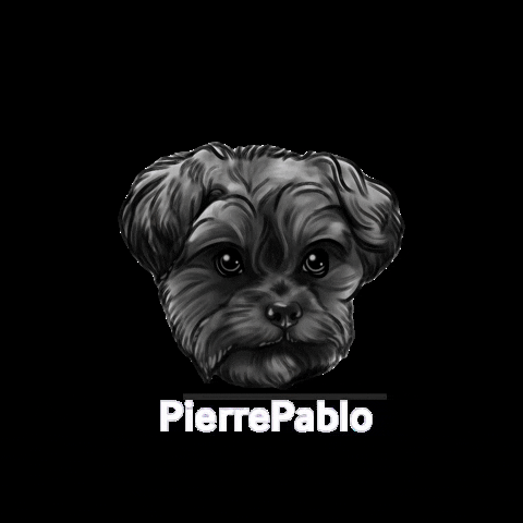 PierrePablo giphygifmaker pet shampoo dogshampoo pierrepablo GIF